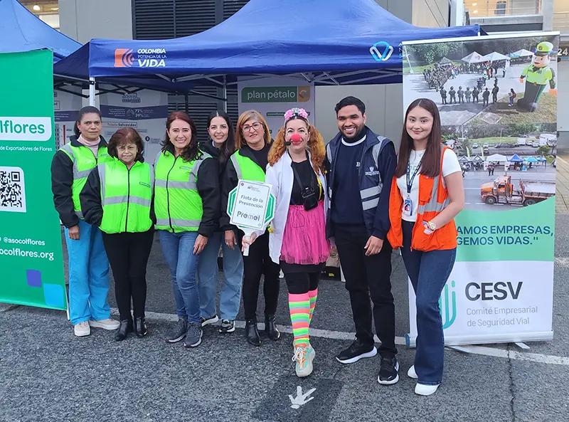 Cultura de la Seguridad Vial